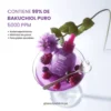 bakuchiol plumping serum 30ml eqqualberry